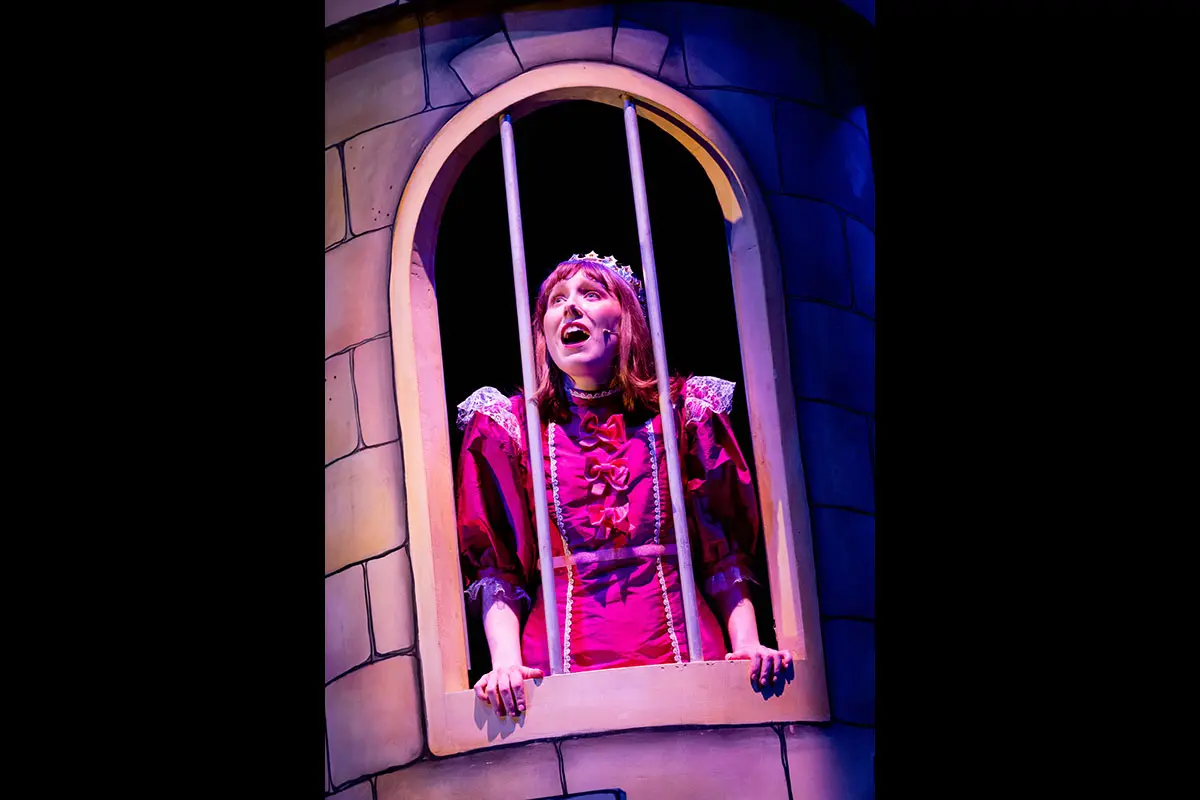 Zog and the Flying Doctors - Live on stage - UK Tour . Photography by © Mark Senior