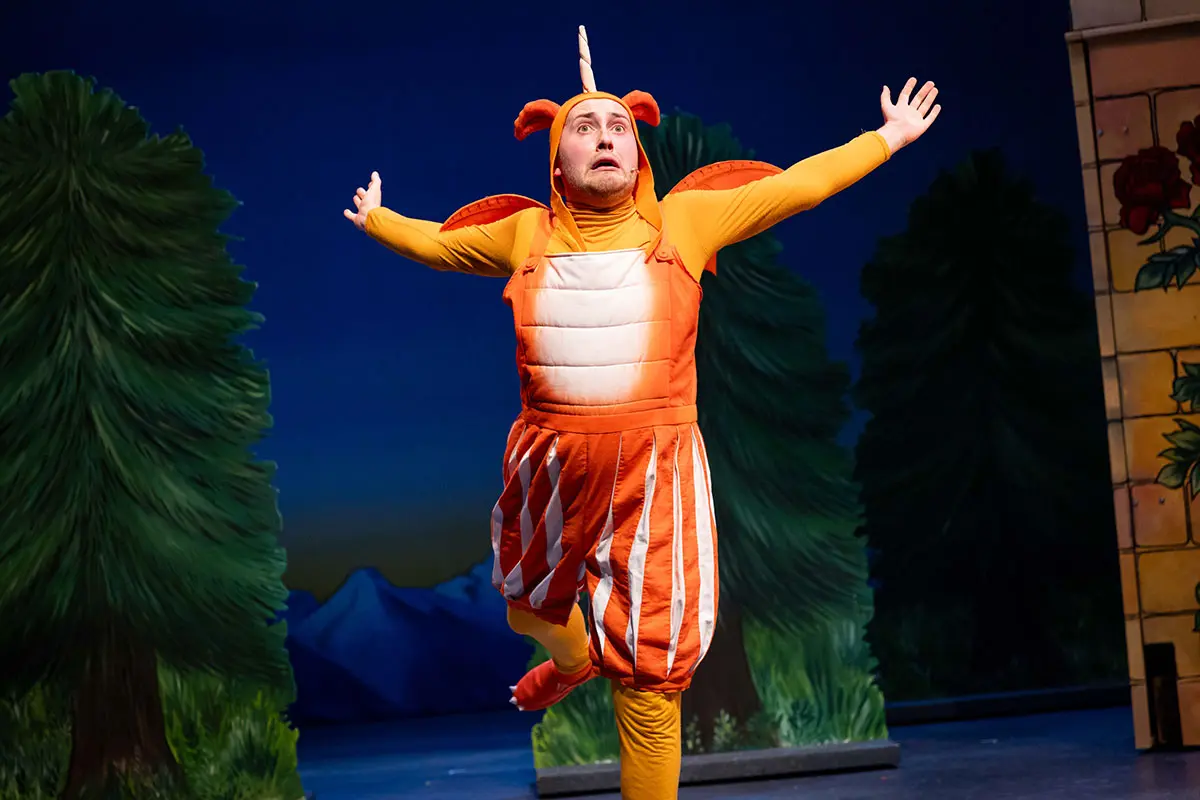 Zog and the Flying Doctors - Live on stage - UK Tour . Photography by © Mark Senior