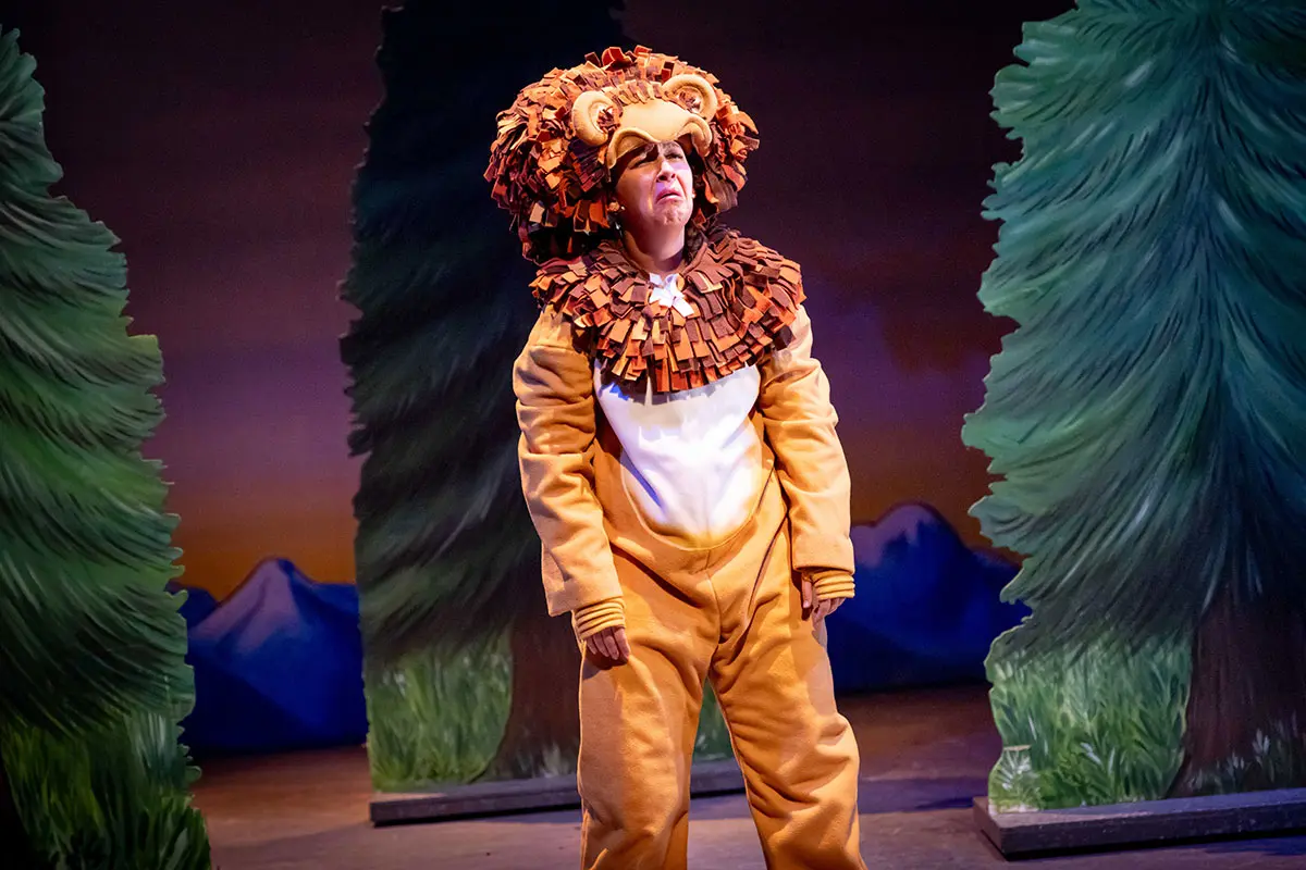 Zog and the Flying Doctors - Live on stage - UK Tour . Photography by © Mark Senior